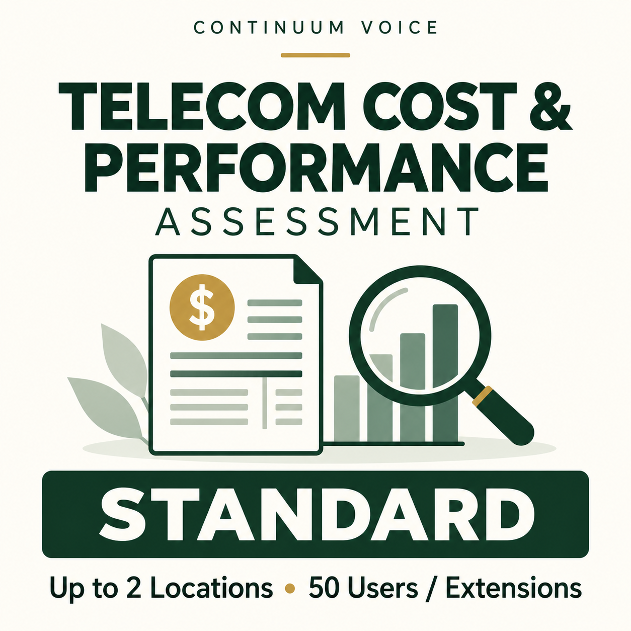 Telecom Cost & Performance Assessment — Standard